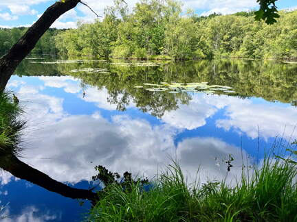 24-06-24 12-10-10 9832